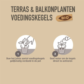 Pokon Terras- en balkonplanten voeding | Pokon | 40 stuks (Kegels, Bio-label) 7004803100 K170116183 - 