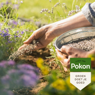 Pokon Tuinmest | Pokon | 100 m² (10 kg, Bio-label) 7599794400 7599814400 K170115704 - 