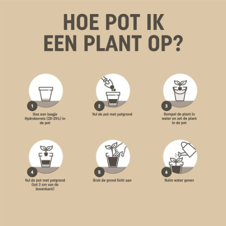 Pokon Turfvrije potgrond pallet | 2250 liter | Pokon (Bio-label)  Q170505342 - 5