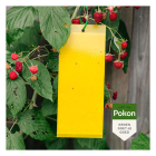 Pokon Val voor rouwvliegjes | Pokon | 7 stuks (Voor 10 m², Bio-label) 724070 B170112135 - 4