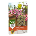 Pokon Voedingskegels terras & balkon planten | Pokon | 10 stuks 724105 K170115890 - 2