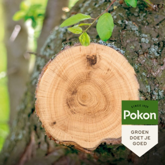 Pokon Wondafdekmiddel | Pokon | 300 gram 7010313100 K170116178 - 