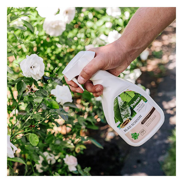 Pokon Zwarte zeep voor planten | Pokon | 750 ml (Gebruiksklaar) 724073 K170112134 - 3