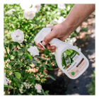 Pokon Zwarte zeep voor planten | Pokon | 750 ml (Gebruiksklaar) 724073 K170112134 - 3