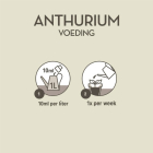 Pokon anthurium voeding (250 ml) 7295313100 C170116117 - 4