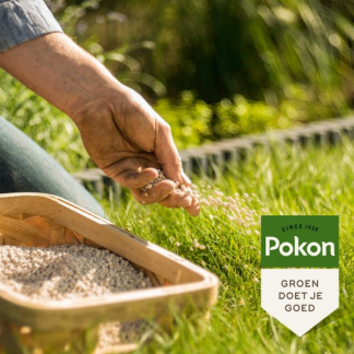 Pokon bio gazonkalk | 150 m² (15 kg, Bio-label)  D170501471 - 6