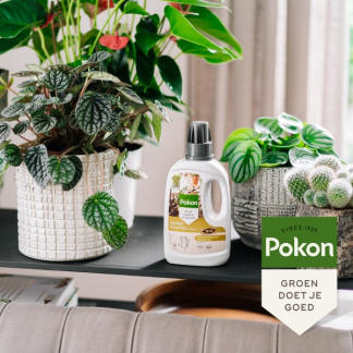 Pokon bio kamerplanten voeding (500 ml) 7000313100 C170116185 - 