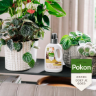 Pokon bio kamerplanten voeding (500 ml) 7000313100 C170116185 - 5