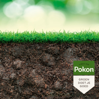 Pokon bio kuur voor een weerbaar en gezond gazon | 500 ml (Concentraat) 7031036100 C170115692 - 5