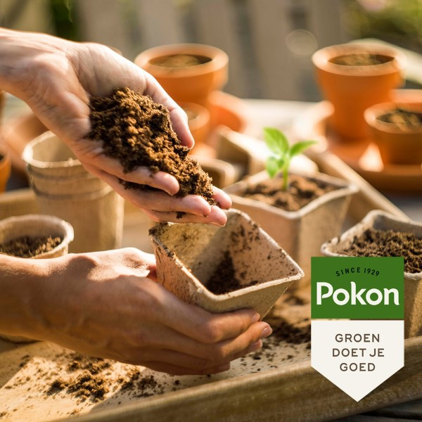 Pokon bio zaai- & stekgrond | 10 liter (Bio-label, Turfvrij) 7202010115 7938608100 C170115693 - 5