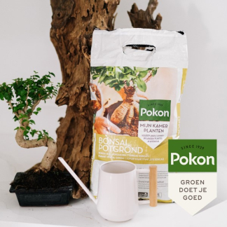 Pokon bonsai potgrond (5 L) 7924607100 C170116159 - 