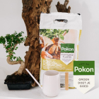 Pokon bonsai potgrond (5 L) 7924607100 C170116159 - 5