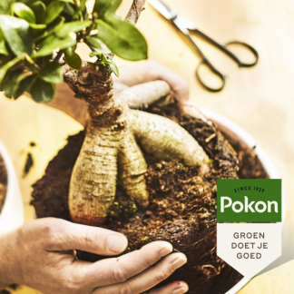 Pokon bonsai voeding (250 ml) 7296313100 C170116118 - 