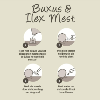 Pokon buxus & Ilex mest (Organisch, 1 kg) 7180788100 C170116126 - 