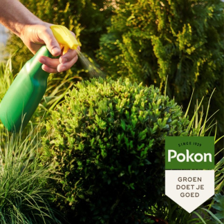 Pokon buxus groen (Gebruiksklaar, 500 ml) 7212442100 C170116004 - 