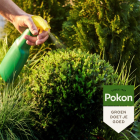 Pokon buxus groen (Gebruiksklaar, 500 ml) 7212442100 C170116004 - 5