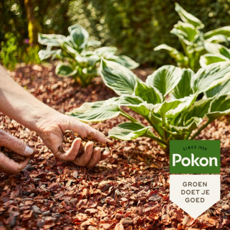 Pokon cacaodoppen | 40 liter (Natuurlijk) 722328 C170505348 - 4