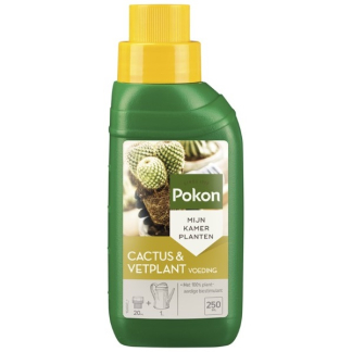 Pokon cactus & vetplant voeding (250 ml) 7293313100 C170116119 - 