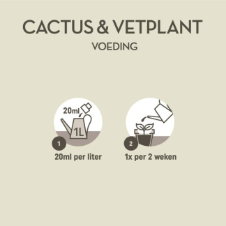 Pokon cactus & vetplant voeding (250 ml) 7293313100 C170116119 - 