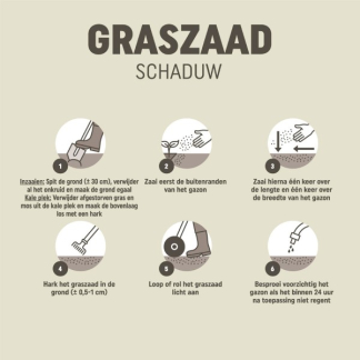 Pokon graszaad schaduw | 10 - 15 m² (Aanleg en herstel, 250 gram) 7685411100 C170115059 - 