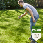 Pokon graszaad schaduw | 10 - 15 m² (Aanleg en herstel, 250 gram) 7685411100 C170115059 - 5