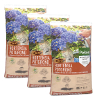 Pokon hortensia potgrond bio - 3 stuks (MPS, 90 liter)