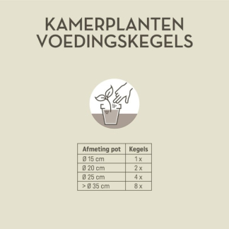 Pokon kamerplanten voedingskegels (10 stuks) 7650998100 C170115038 - 