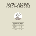 Pokon kamerplanten voedingskegels (10 stuks) 7650998100 C170115038 - 4