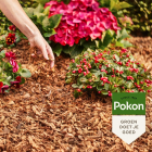 Pokon kokosvezels | 50 liter (Natuurlijk) 7964605100 C170505349 - 4