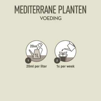Pokon mediterrane planten voeding (500 ml) 7262313100 C170116009 - 