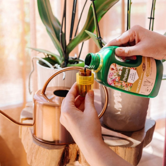 Pokon orchideeën voeding | 500 ml (Bio-label) 723147 C170505352 - 4