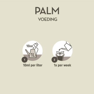 Pokon palm voeding (250 ml) 7289313100 C170116120 - 