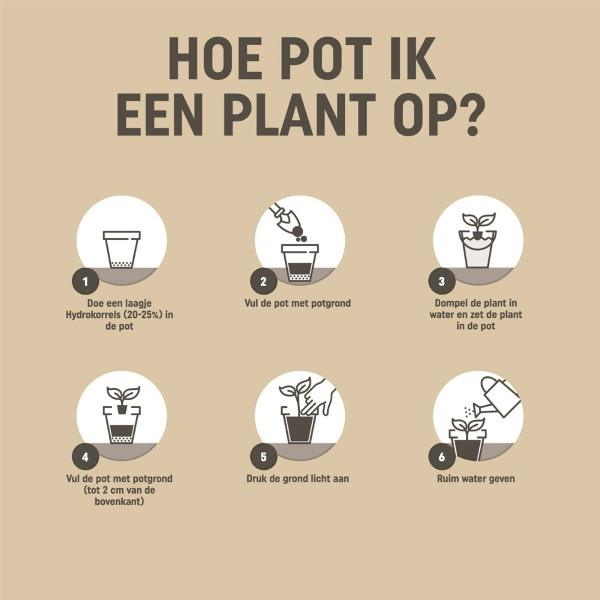 Pokon potgrond | 10 liter (Universeel, Bio-label, Turfvrij) 7202010122 7990601400 7990608400 C170115695 - 4
