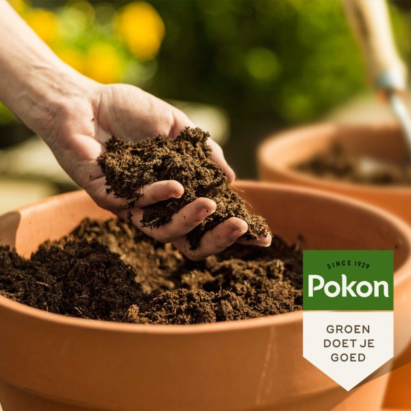 Pokon potgrond | 10 liter (Universeel, Bio-label, Turfvrij) 7202010122 7990601400 7990608400 C170115695 - 5