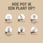 Pokon potgrond terras- en balkonplanten | 20 liter (Bio-label) 7992603400 C170115689 - 4