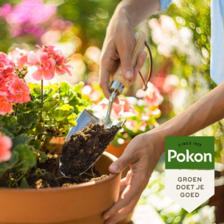 Pokon potgrond terras- en balkonplanten | 20 liter (Bio-label) 7992603400 C170115689 - 5