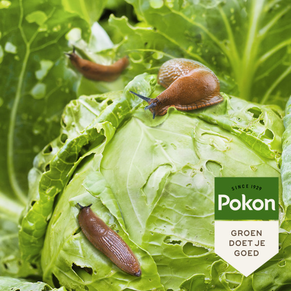Pokon tegen slakken | 225 gram (Biologisch, Korrels, 75 m²) 7077034100 C170115084 - 4