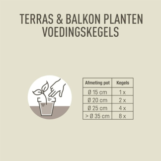 Pokon terras & balkon planten voedingskegels (10 stuks) 7651998100 C170116000 - 