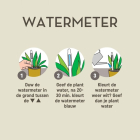 Pokon watermeter (Kamerplanten) 723140 C170505355 - 4