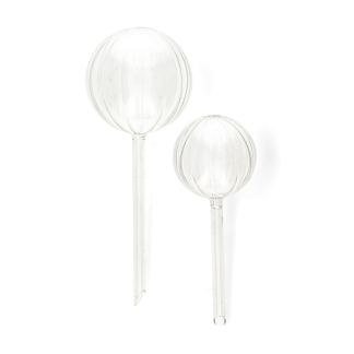 Pro Garden Waterdruppelaar | Pro Garden | 2-delig (Glas) ABT999850 K170105388 - 1