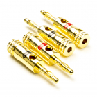 Profigold Banaanstekker - Profigold (24K verguld, Mannelijk, 4.0 mm, 4 stuks) PROD700 K060203036 Profigold Banaanstekker - Profigold (24K verguld, Mannelijk, 4.0 mm, 4 stuks) PROD700 K060203036