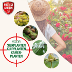Protect Garden Bladinsecten bestrijding | Protect Garden | Desect Duo | 100 ml (Concentraat) 84914800 86601750 K170115096 - 4