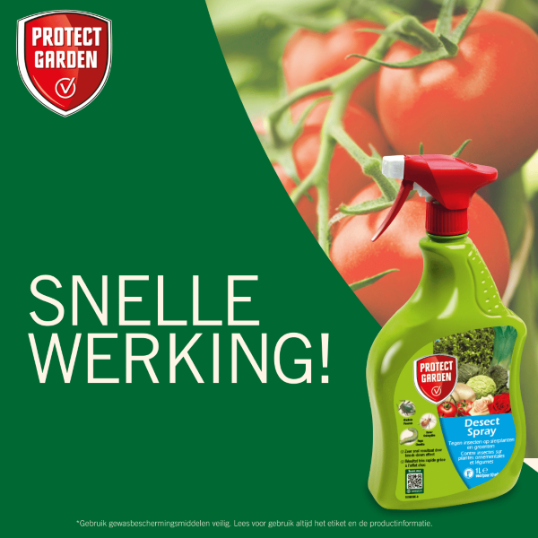 Protect Garden Bladinsectenspray | Protect Garden | Desect | 1 liter (Gebruiksklaar)  K170116281 - 4