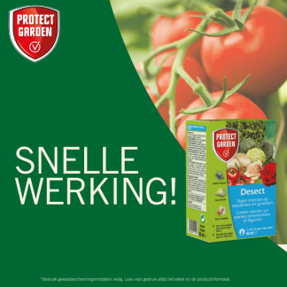 Protect Garden Bladluis bestrijding | Protect Garden | Desect | 50 ml (Concentraat)  A170116282 - 6