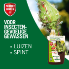Protect Garden Brandnetelgier | Protect Garden | 1 L (Voor insectgevoelige planten, Natuurlijk, Bio-label) 86600765 K170501388 - 4