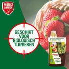Protect Garden Brandnetelgier | Protect Garden | 1 L (Voor insectgevoelige planten, Natuurlijk, Bio-label) 86600765 K170501388 - 5