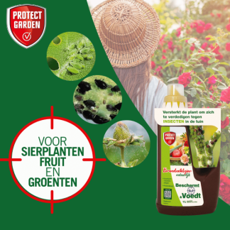 Protect Garden Brandnetelgier | Protect Garden | 1 L (Voor insectgevoelige planten, Natuurlijk, Bio-label) 86600765 K170501388 - 6