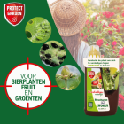 Protect Garden Brandnetelgier | Protect Garden | 1 L (Voor insectgevoelige planten, Natuurlijk, Bio-label) 86600765 K170501388 - 6