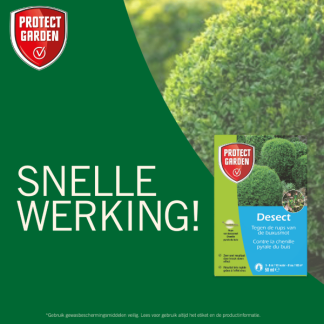 Protect Garden Buxusrups bestrijding | Protect Garden | Desect | 50 ml (Concentraat)  K170116280 - 6