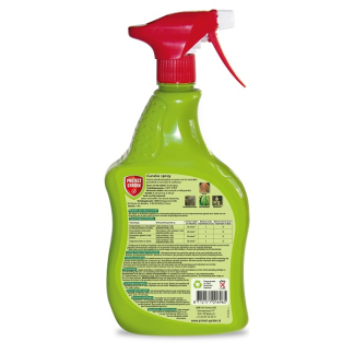 Protect Garden Buxusspray | Protect Garden | 1 L (Tegen schimmels en ziekten, Gebruiksklaar) 80579004 K170115024 - 